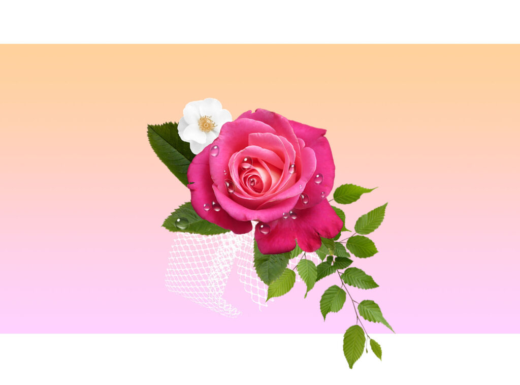 5c6febe58d519a7ff936fbda